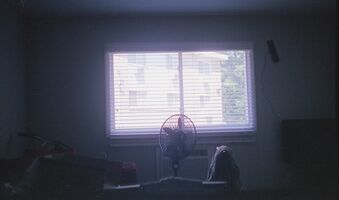 Canon AF35m sample image 14