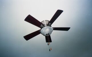 Canon AF35m sample image 16