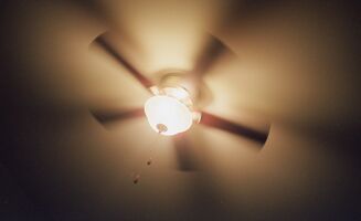 Canon AF35m sample image 13