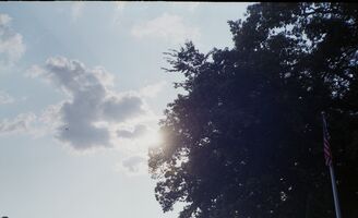 Canon AF35m sample image 4