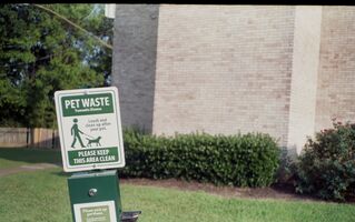 Canon AF35m sample image 30