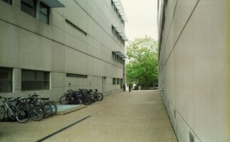 Canon AF35m sample image 8