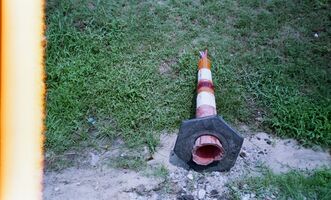 Canon AF35m sample image 24