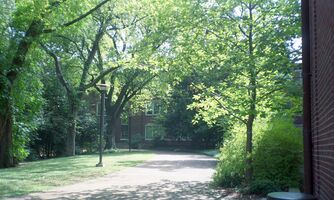 Canon AF35m sample image 22