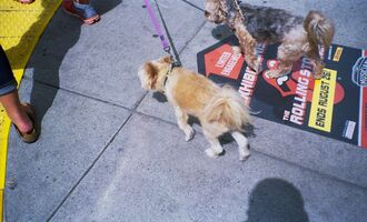 Canon AF35m sample image 5