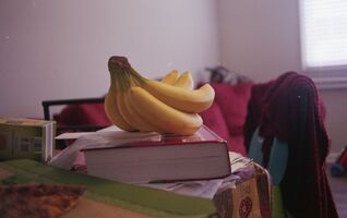 Canon Canonet 28 sample image 32