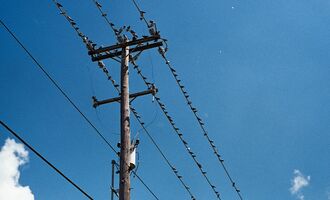 Canon Canonet 28 sample image 2