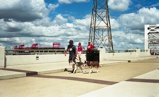 Canon Canonet 28 sample image 5