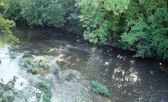 Canon Canonet 28 sample image 21