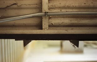 Konica Auto S2 sample image 16