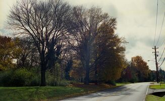 Konica Auto S2 sample image 27