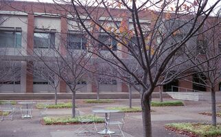 Konica Auto S2 sample image 29