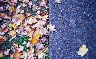 Konica Auto S2 sample image 14