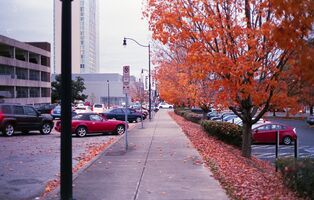 Konica Auto S2 sample image 37