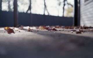 Konica Auto S2 sample image 21