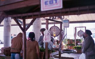 Konica Auto S2 sample image 8