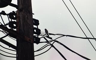 Lomography Color 800 sample image 48