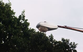 Lomography Color 800 sample image 47