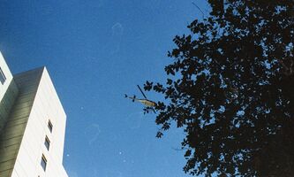 Lomography Color 800 sample image 39