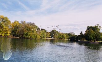 Lomography Color 800 sample image 9