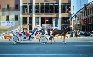 Lomography Color 800 sample image 10