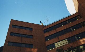 Lomography Color 800 sample image 12