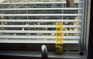 Mamiya Sekor Super Deluxe sample image 30