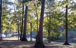 Mamiya Sekor Super Deluxe sample image 14