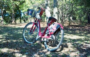 Mamiya Sekor Super Deluxe sample image 8