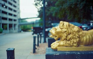 Mamiya Sekor Super Deluxe sample image 20