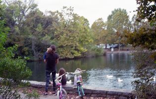 Mamiya Sekor Super Deluxe sample image 10