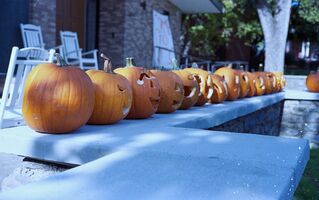 Mamiya Sekor Super Deluxe sample image 13