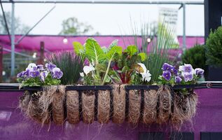 Mamiya Sekor Super Deluxe sample image 12