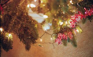 Mamiya Sekor Super Deluxe sample image 34