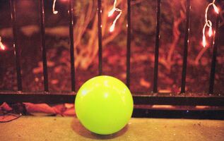 Mamiya Sekor Super Deluxe sample image 11