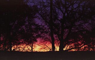 Minolta Maxxum 300si / Minolta AF Zoom 35mm-7mm f3.5-4.5 sample image 4