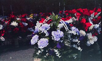 Minolta Maxxum 300si / Minolta AF Zoom 35mm-7mm f3.5-4.5 sample image 10