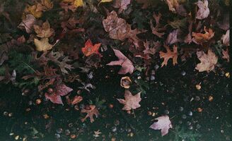 Minolta Maxxum 300si / Minolta AF Zoom 35mm-7mm f3.5-4.5 sample image 16