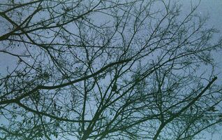 Minolta Maxxum 300si / Minolta AF Zoom 35mm-7mm f3.5-4.5 sample image 21