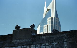 Minolta Maxxum 400si / Minolta AF 50mm f1.7 sample image 15