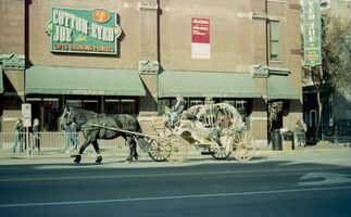 Minolta Maxxum 400si / Minolta AF 50mm f1.7 sample image 25