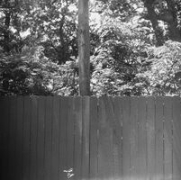 Cinestill DF96 Monobath sample image 6