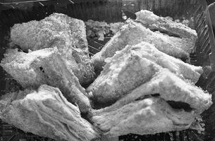 Cinestill DF96 Monobath sample image 9