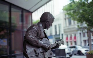 Nikon EM sample image 14