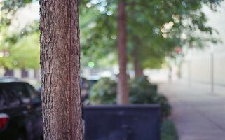 Nikon EM sample image 8