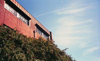 Pentax iqZoom 150SL sample image 42