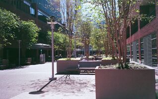 Pentax iqZoom 150SL sample image 33