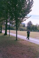 Pentax iqZoom 150SL sample image 3