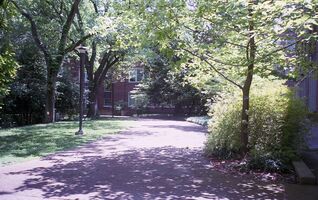 Pentax iqZoom 150SL sample image 25