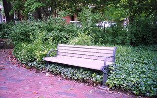 Pentax iqZoom 150SL sample image 11